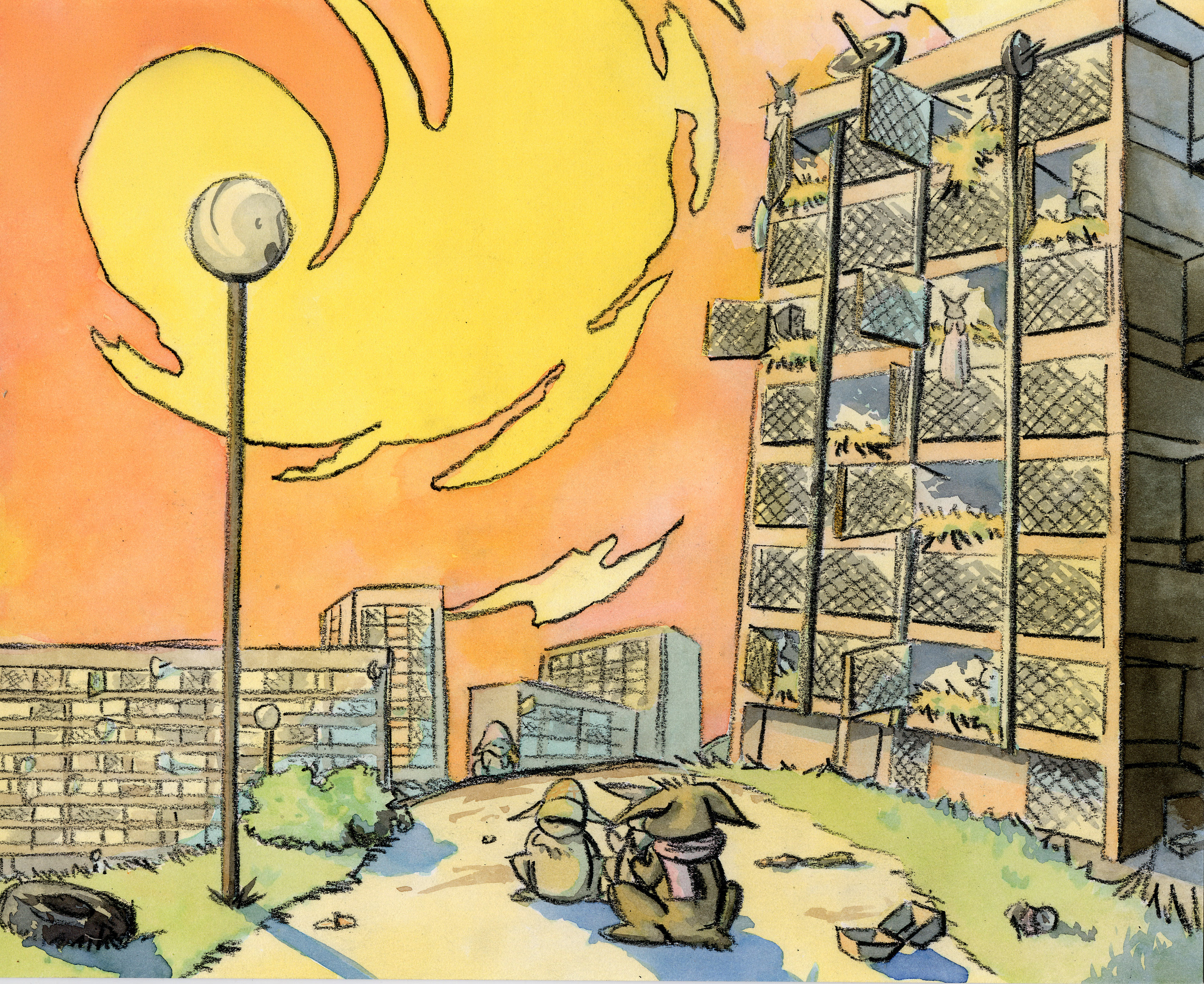 lapin au milieu d'une cité avec des cages